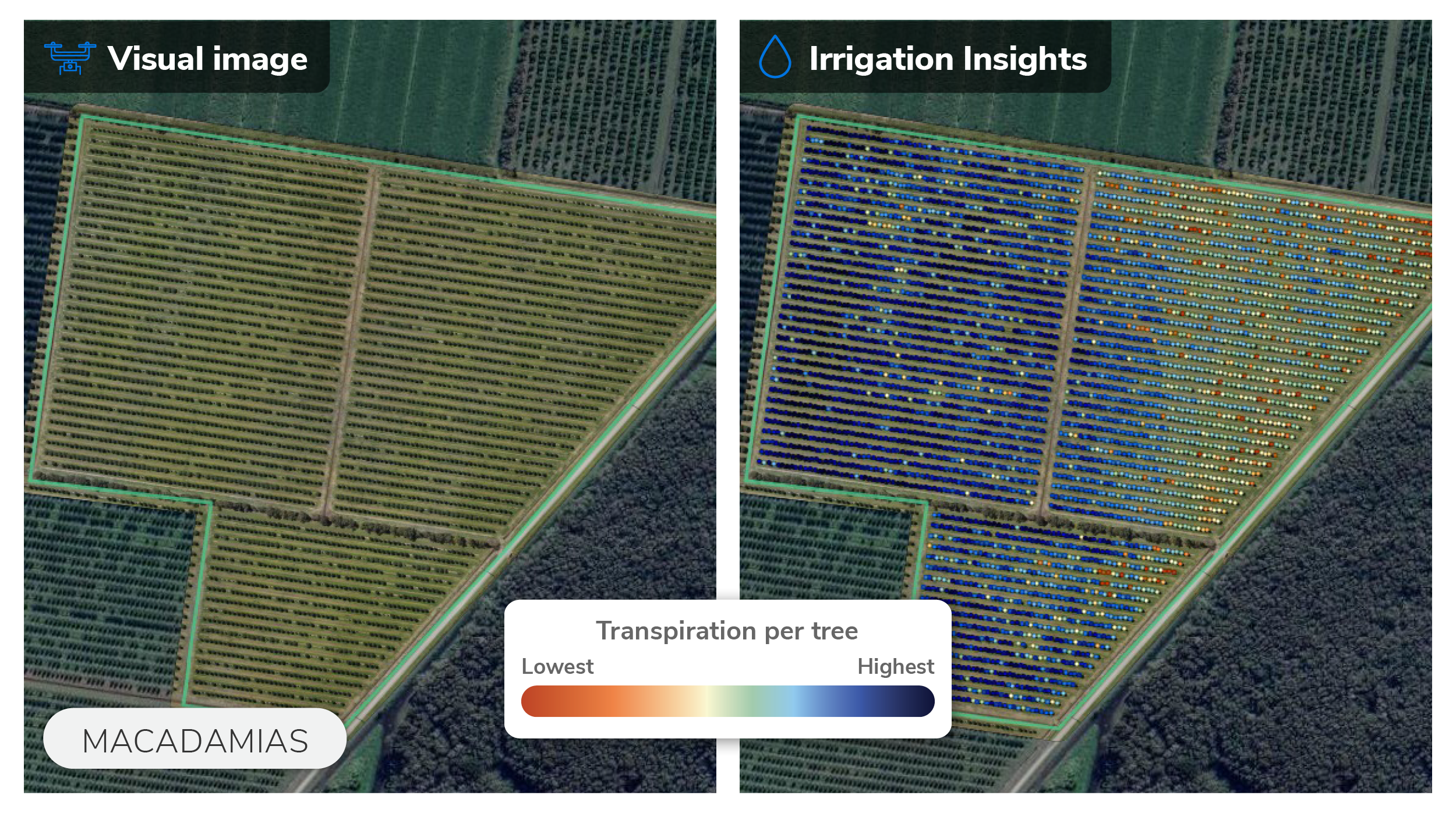 Aerobotics provides irrigation insights for fruit and nut growers.png