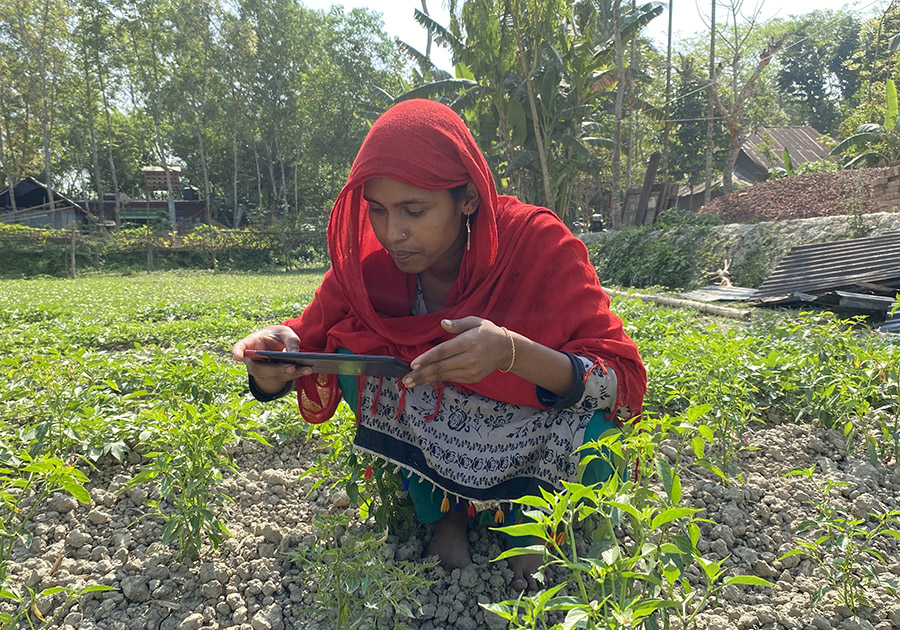 Plantix_BNA_Patuakhali_Sador_Add On  Farmer_Ayesha Begum_16Mr22.jpeg